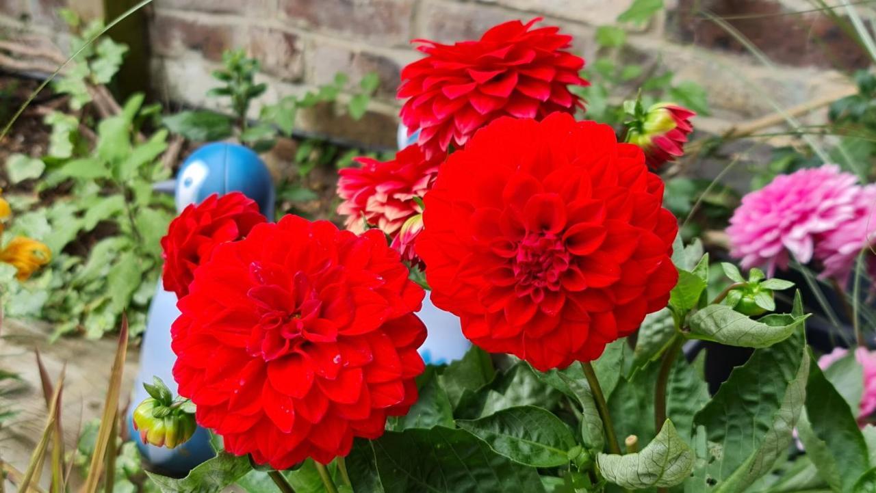 Cottage Grove Homestay Rooms ポーツマス エクステリア 写真